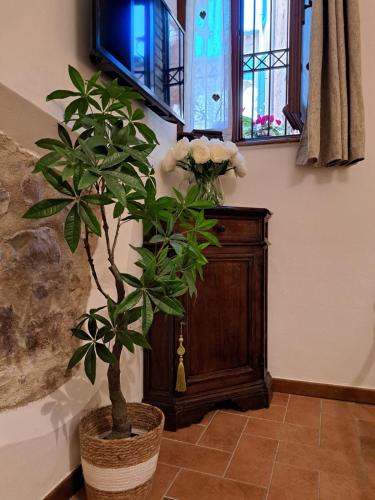 a room with a plant and a cabinet and a window at Nel vicolo dei Baci - Casa vacanze al Bacio in Spello