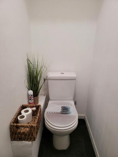 - une salle de bains avec des toilettes et une plante dans un panier dans l'établissement Appartement lumineux T2 près d'Annecy, à Annecy