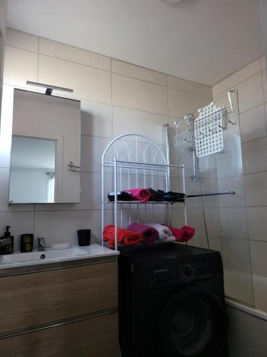 une salle de bain avec une machine à laver et un lavabo dans l'établissement Appartement lumineux T2 près d'Annecy, à Annecy