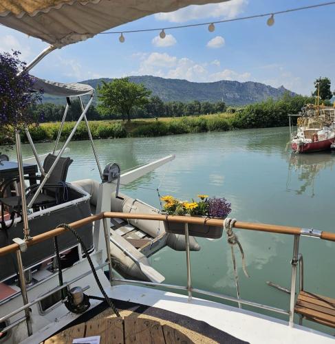 a boat is docked on a river with flowers on it at Evasion Romantique sur le Rhône in Valence