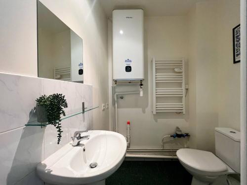 une salle de bain avec un lavabo, des toilettes et un miroir dans l'établissement Suite Brandy - Check in h24 - proche gare de Vaise, à Lyon