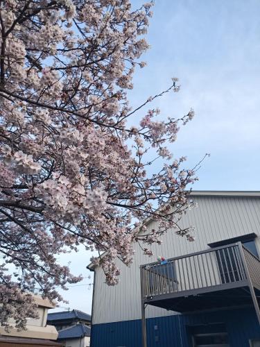 a tree with pink flowers in front of a building at Guest House Ihatov - Vacation STAY 22102v in Takamatsu