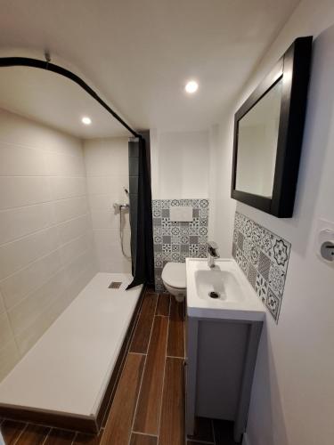 une salle de bain avec un lavabo et une baignoire dans l'établissement Studio cosy entièrement rénové à deux pas de Lyon, à Fontaines-sur-Saône