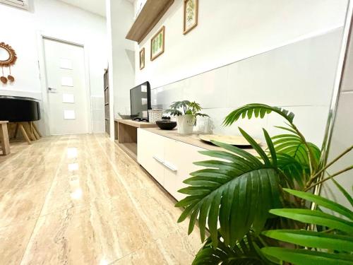 a room with a desk with a television and a plant at Rosaleda Centro Apartamento in Málaga