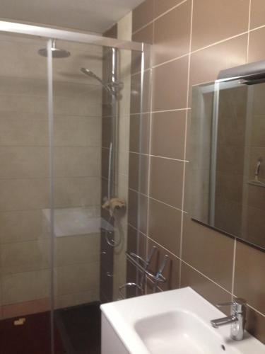 une salle de bain avec une douche en verre et un lavabo dans l'établissement Gite classé touristique belle piscine 8kmd'Avignon, à Entraigues-sur-la-Sorgue