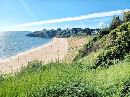 une vue d'une plage avec de l'herbe et de l'eau dans l'établissement Caravane vintage, à Pornichet