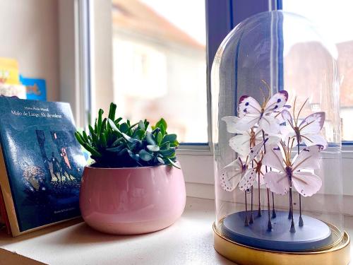 Photo de la galerie de l'établissement gîte Maisonnette dans Domaine Viticole - Vins ZEYSSOLFF, à Gertwiller