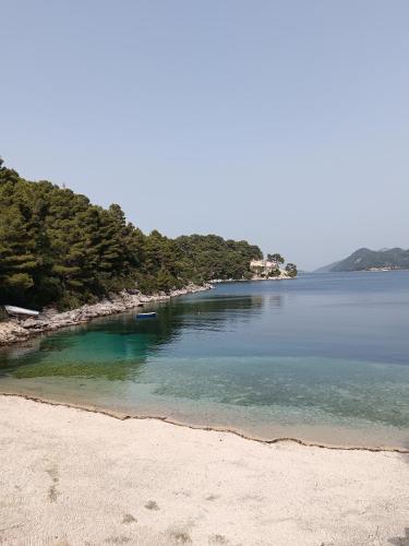 a view of a beach with trees and the water at Studio apartment Dragana in Babino Polje