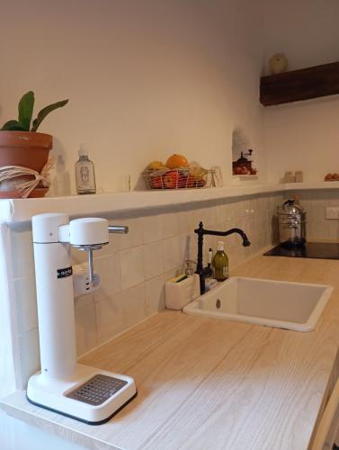 - un comptoir de cuisine avec un mixeur et un évier dans l'établissement Maison climatisée au coeur du village, à Cagnes-sur-Mer