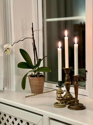 a table with two candles and a potted plant at Hotel Klostergaarden in Allinge