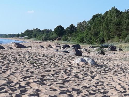 Gambar di galeri bagi Viesu nams Jūras Bura di Tūja
