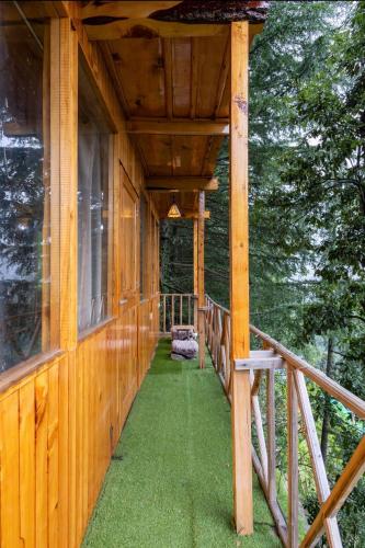 Zahrada ubytování Kakapo Nest a Big Chill Treehouse