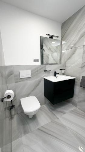 a bathroom with a toilet and a sink and a mirror at Villa Leopold - apartmánový dům in Karlovy Vary