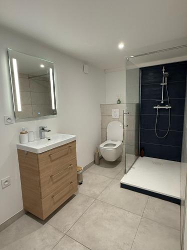 une salle de bain avec toilettes, lavabo et douche dans l'établissement Appartement 5 personnes Beaune avec parking privé gratuit, à Beaune