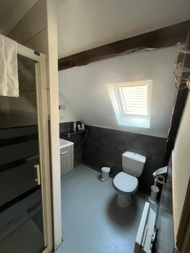 a bathroom with a toilet and a sink and a window at Le Jaonnet in Nabirat