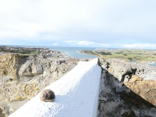 El Rincón de Denver, pet friendly, playa, mar y bbq