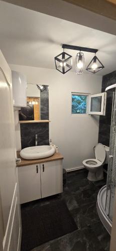a bathroom with a sink and a toilet at Cabanele din padure in Eşelniţa