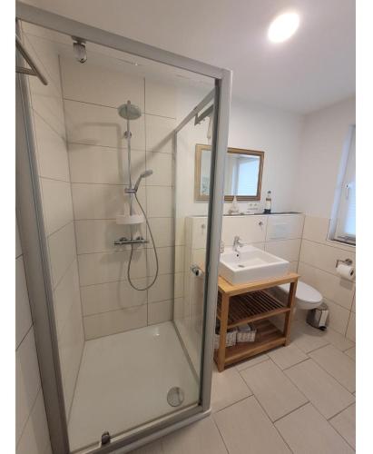 a bathroom with a shower and a sink at Ferienhaus Sandseele in Fehmarn