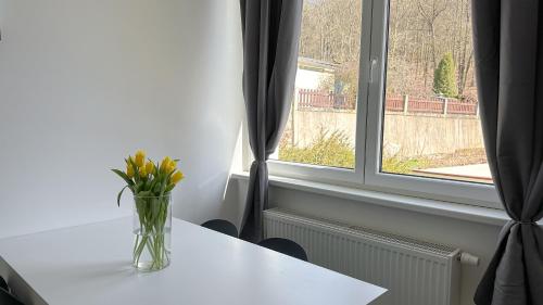a vase of flowers sitting on a table next to a window at Villa Leopold - apartmánový dům in Karlovy Vary