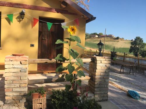 a house with a sunflower on the side of it at Agriturismo Fattoria Del Colle By Enrico in Casa Cappanera