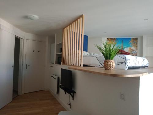 a living room with a counter with a plant on it at Studio atypique et chaleureux coeur d'Ancenis in Ancenis