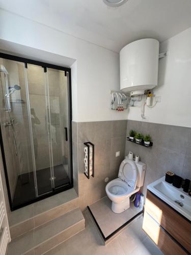 une salle de bain avec une douche, des toilettes et un lavabo dans l'établissement Évasion cosy, proche de Paris, à Argenteuil