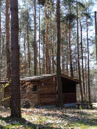 a wooden cabin in the middle of a forest at Leśna Osada Tęcza Jabłonowiec in Jabłonowiec