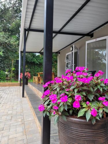 una gran maceta de flores rosas en un patio en UNIQUE Self-Catering, en Vryheid
