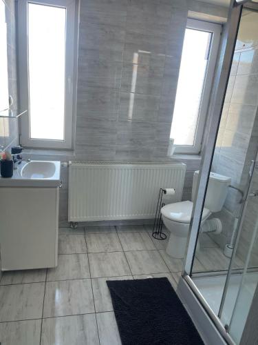 a bathroom with a toilet and a sink at Dom Gościnny "Zawiśle" in Włocławek