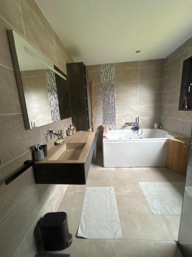 une grande salle de bain avec une baignoire et un lavabo dans l'établissement Maison moderne au calme proche Montauban Toulouse, à Orgueil