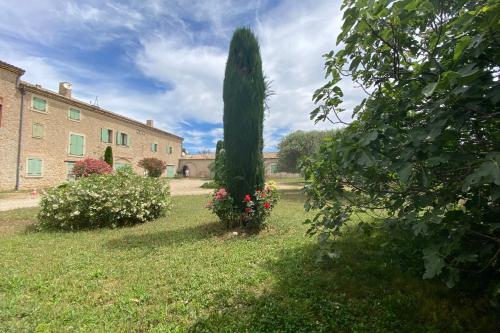 Κήπος έξω από το Magnificent flat in the heart of lavender fields - 6-7 people
