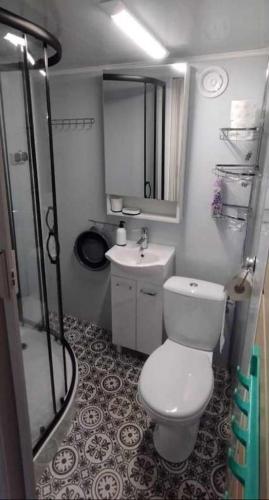 a bathroom with a toilet and a sink and a shower at Domek letniskowy ,,Jolczyn'' in Nowęcin
