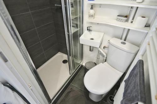 une petite salle de bain avec toilettes et douche dans l'établissement Chess Flat - Paris Grands Boulevards, à Paris