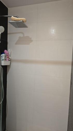 La salle de bains est pourvue de murs blancs et d'une cabine de douche. dans l'établissement Grand appartement, à Béziers