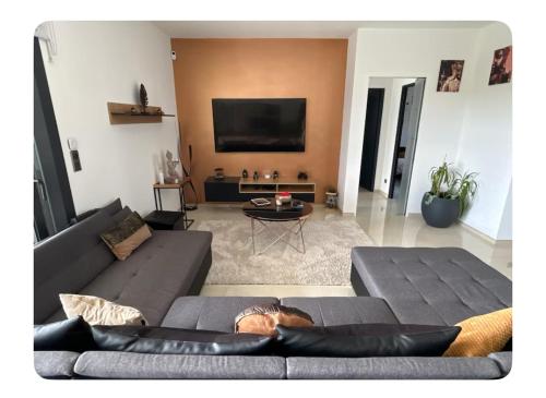 a living room with a couch and a tv at Chambre dans Maison moderne tout confort in Orgueil