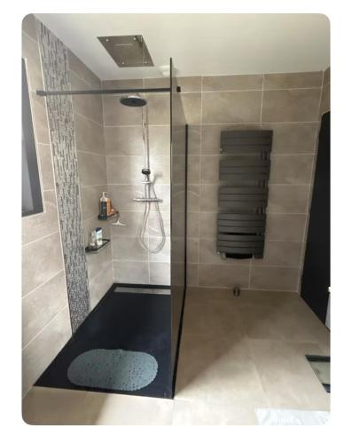une douche avec une porte vitrée dans une salle de bain dans l'établissement Chambre dans Maison moderne tout confort, à Orgueil