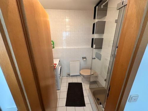 a small bathroom with a toilet and a shower at Apartment im Atelierhof in Nürnberg