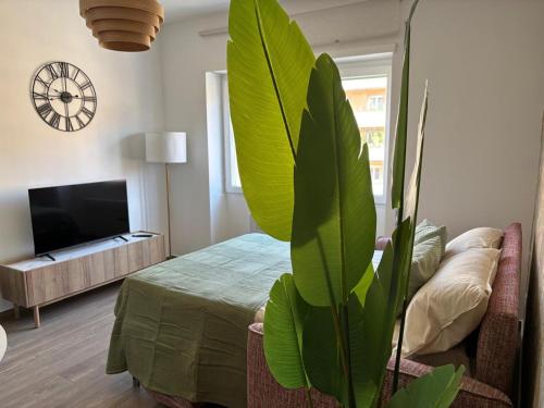 Aulo Plauzio Apartment