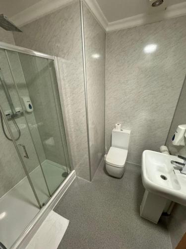 a bathroom with a shower and a toilet and a sink at Epsilon Hotel in London