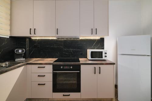 Venias Two-Bedroom apartment Kallimarmaro and Zappeio area