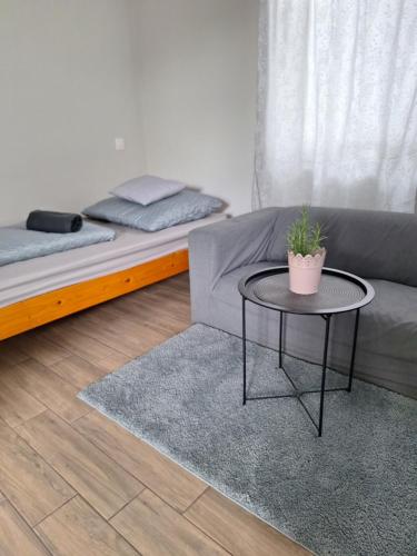 a living room with a couch and a table at Tiszavirág Szálláshely in Tiszaalpár