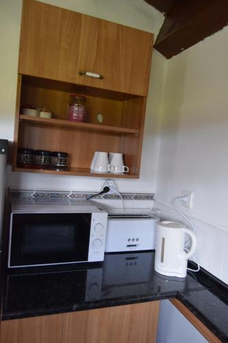 Dapur atau dapur kecil di Mount Tatum