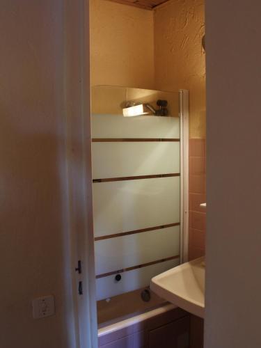 La petite salle de bains est pourvue d'une douche et d'un lavabo. dans l'établissement Casa SANTUCCI, à Monticello