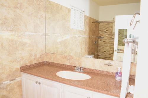a bathroom with a sink and a shower at PortzVue Villa in Saint Peter