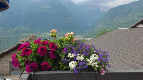 a planter with flowers on top of a house at Osteria Anzonico in Anzonico
