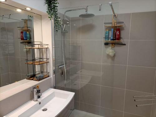 une salle de bain avec une douche, un lavabo et un miroir dans l'établissement Appartement Fréjus Plage, à Fréjus