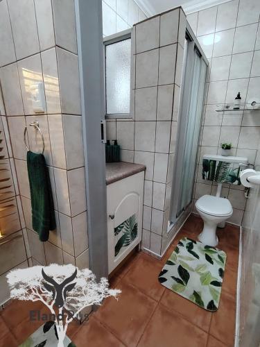 a small bathroom with a toilet and a shower at Eland Rus Micro Stay Self Catering in Kathu