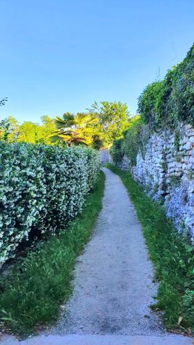 a path through a hedge with blue flowers on it at Casa Lorelein in Pieve di Soligo