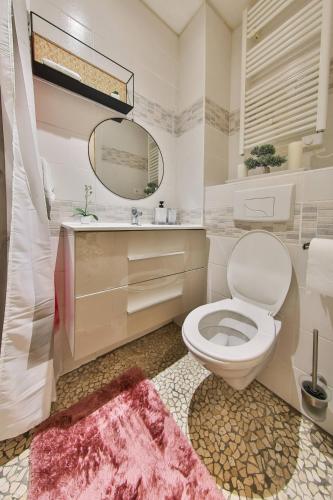 une salle de bain avec toilettes, lavabo et miroir dans l'établissement Le Kelly - Hyper Centre Mulhouse, à Mulhouse