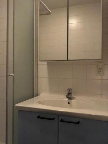 a bathroom with a sink and a mirror at Oostduinkerke Estacade ZEEDIJK in Oostduinkerke